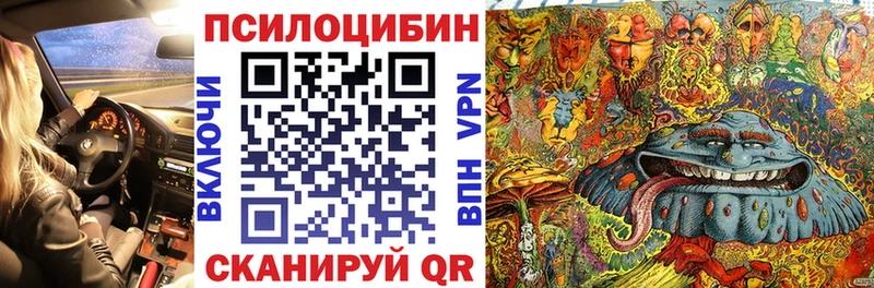 Псилоцибиновые грибы Psilocybine cubensis  hydra ССЫЛКА  Тверь  как найти закладки 